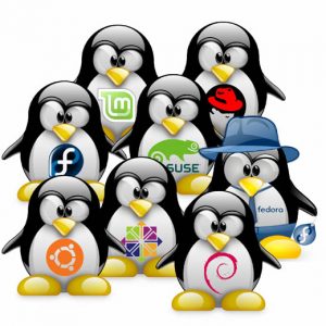 Profesjonalny Linux